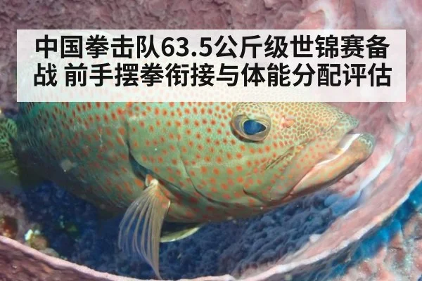 中国拳击队63.5公斤级世锦赛备战 前手摆拳衔接与体能分配评估
